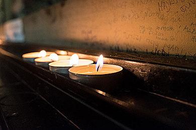 《Sugardew Island》众筹开启 温馨牧场经营